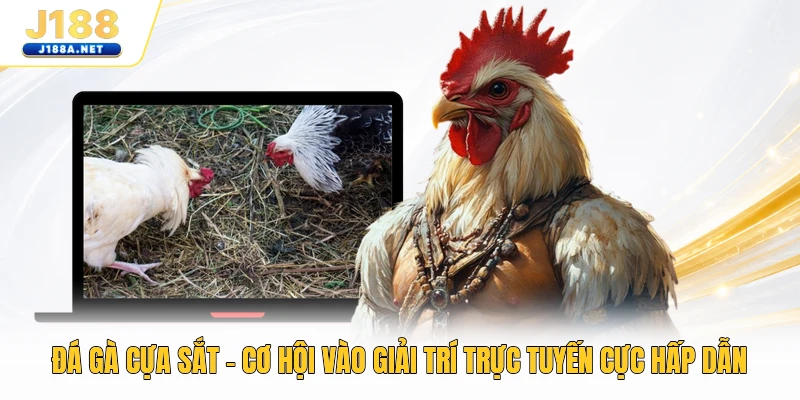 Đá Gà Cựa Sắt - Cơ Hội Vào Giải Trí Trực Tuyến Cực Hấp Dẫn